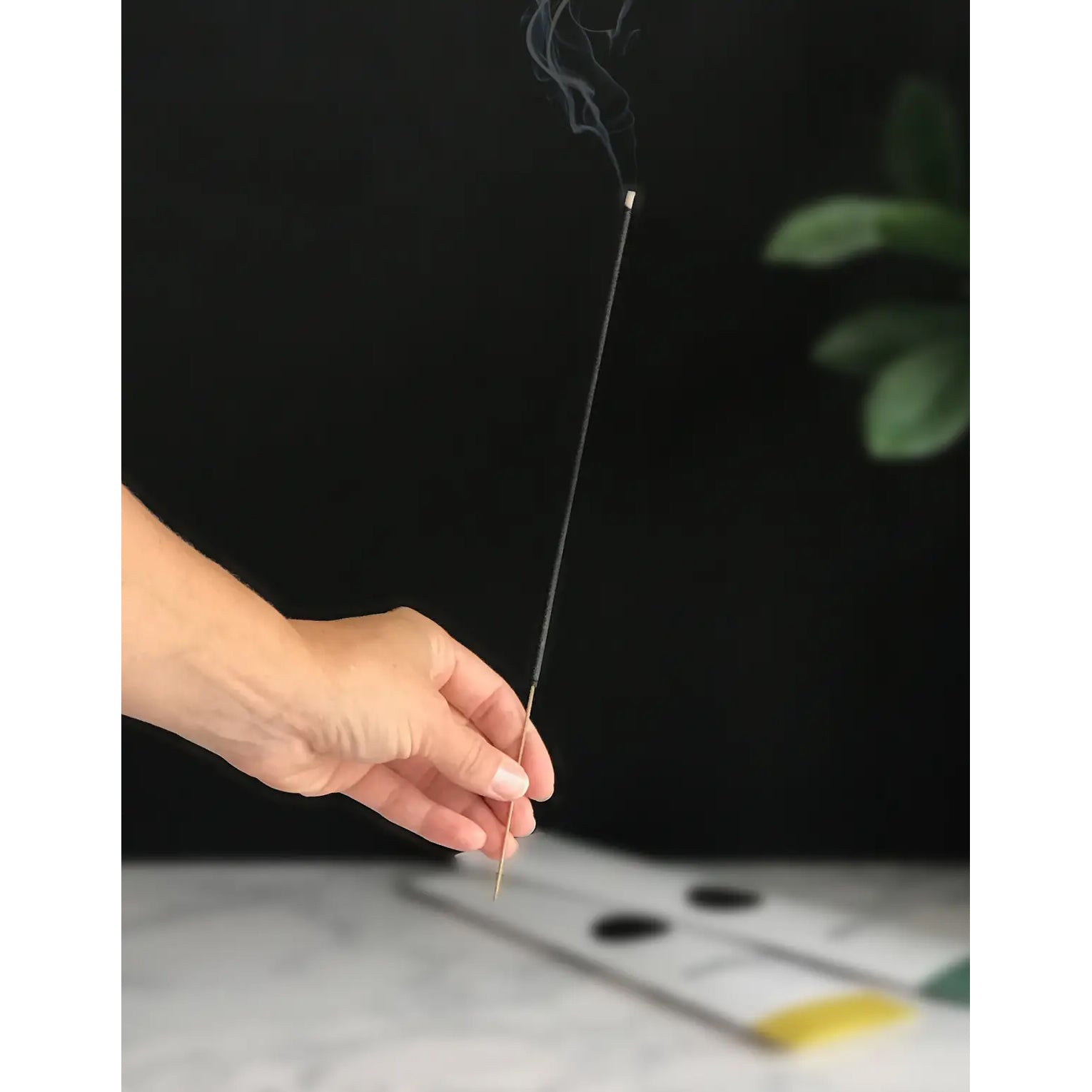 California Poppy, Redwood, Sage, Sea Salt - Golden State Incense Sticks