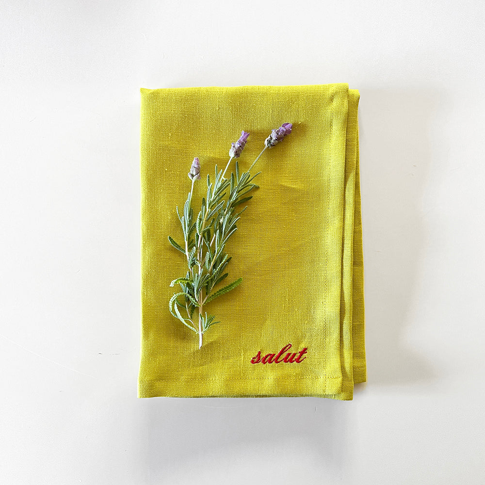 Embroidered Linen Napkins - Set of 4 - Salut