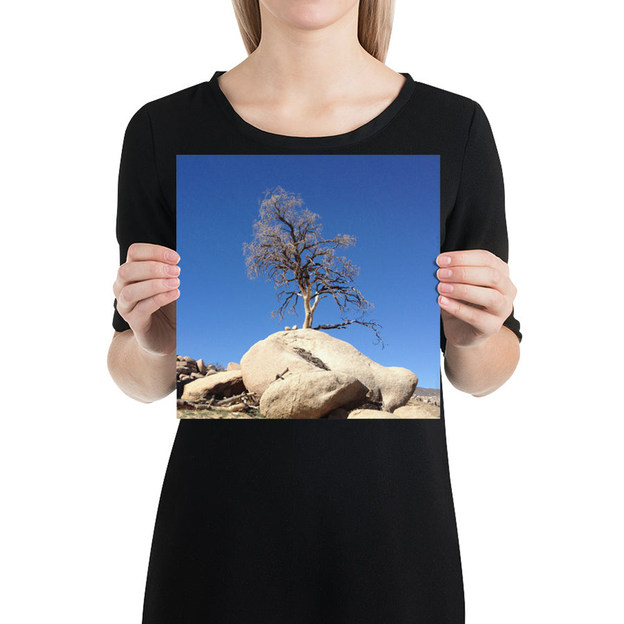 Joshua Tree - Photo Paper Print