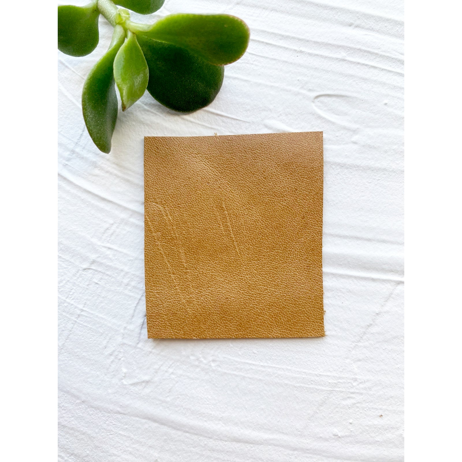 Honey Vintage Leather Swatch