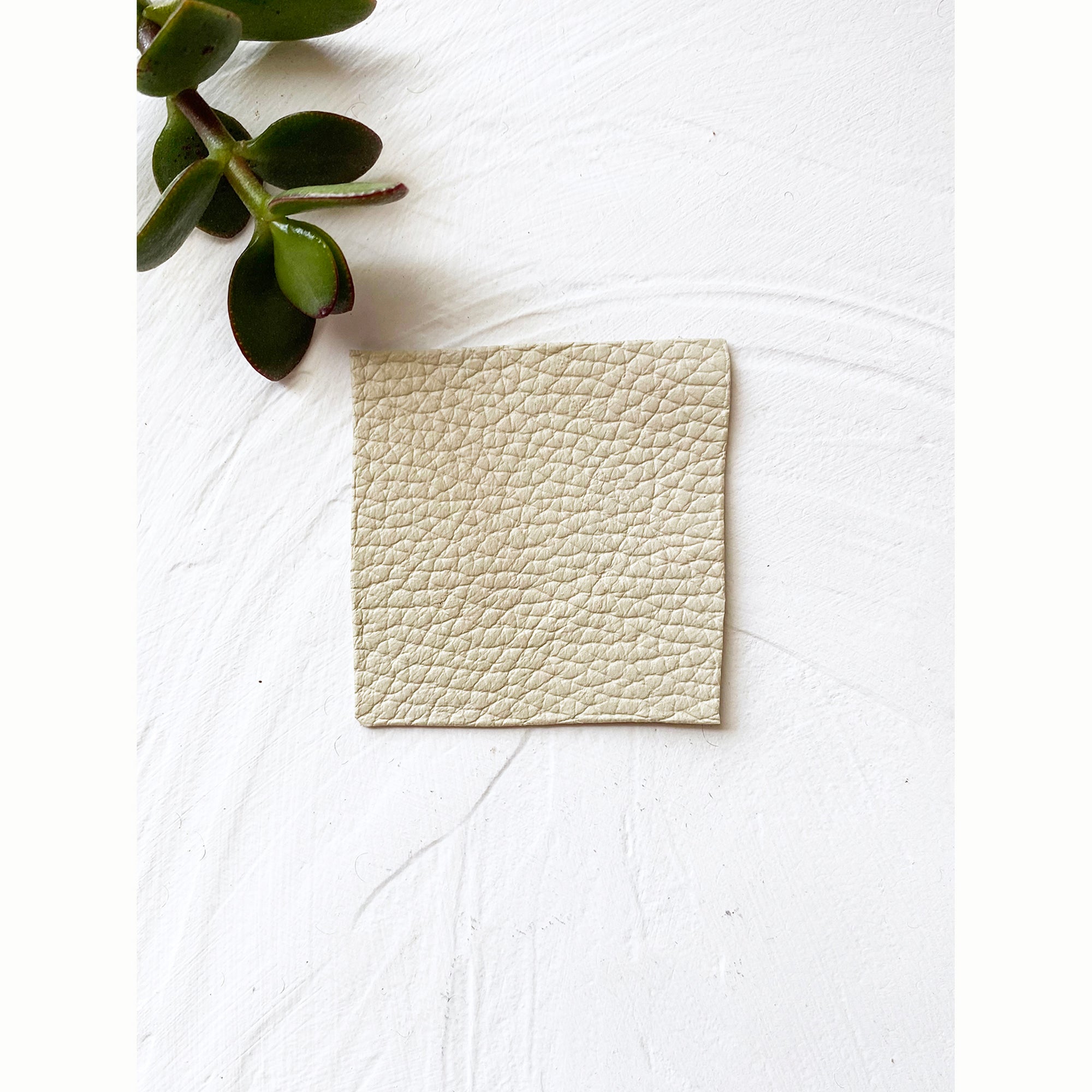 Sand Pebbled Leather Swatch